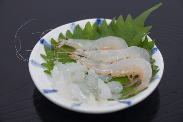 富山の魚 白えびとは 特徴 旬の時期 美味しい食べ方を解説 ご当地japan